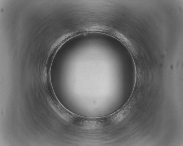 X0000081630298200701151432