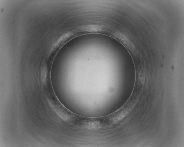 X0000081630304200701151432