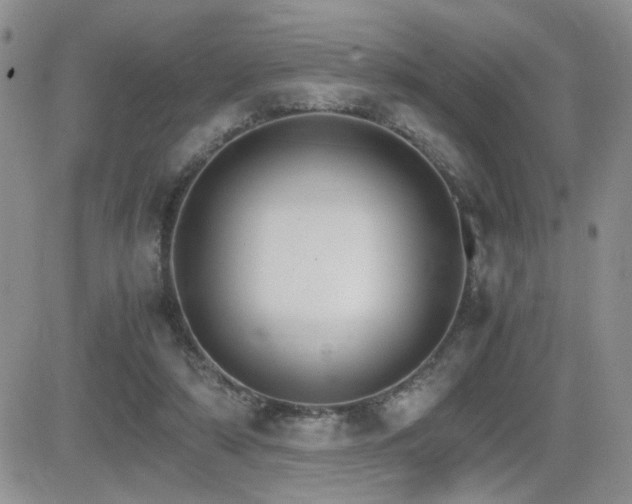 X0000081630306200701151432