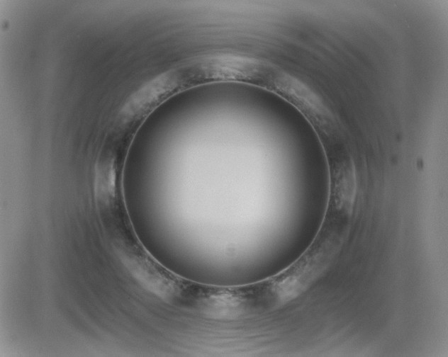X0000081630310200701151432