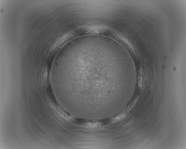 X0000081630314200701151431