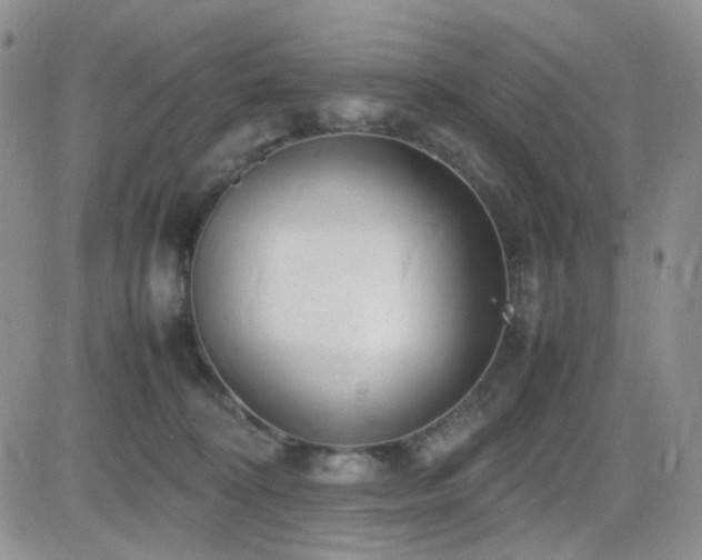 X0000081630324200701151431