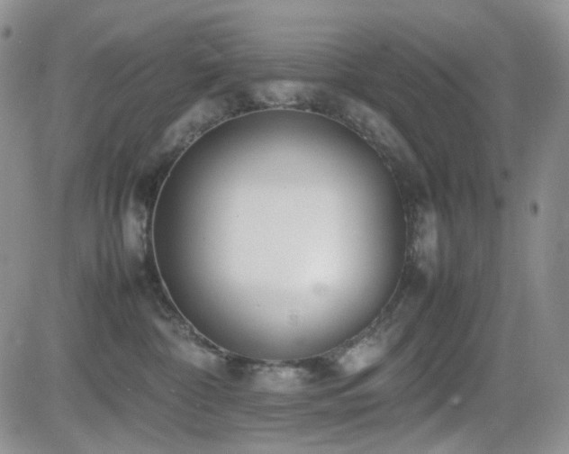 X0000081630332200701151431