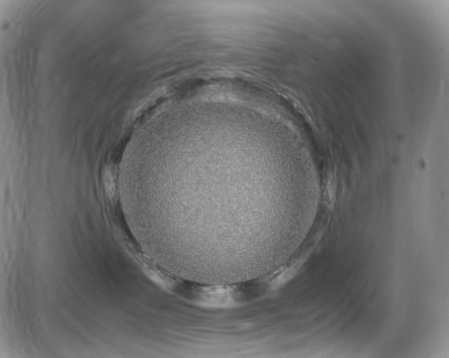 X0000081630335200701151431
