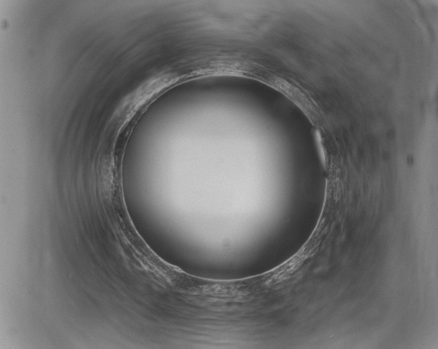 X0000081630338200701151430