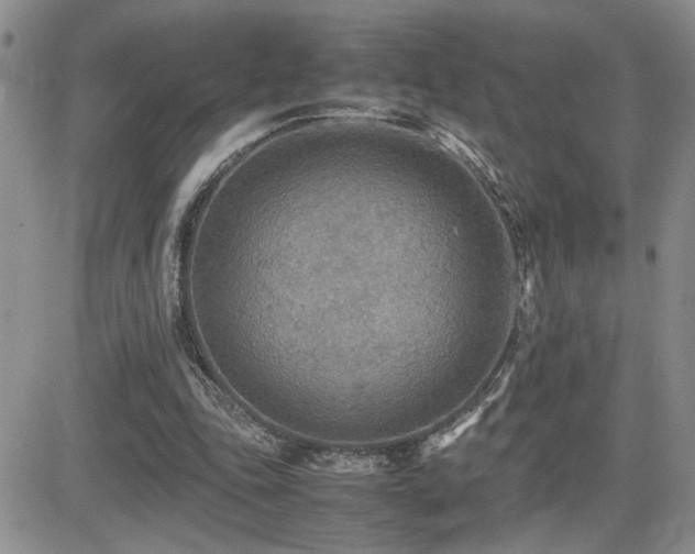X0000081630343200701151430