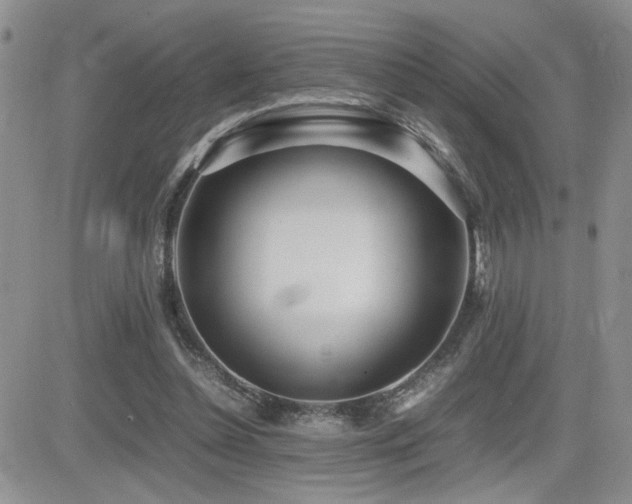X0000081630348200701151431