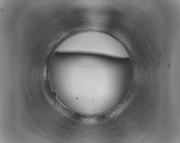 X0000081630358200701151431