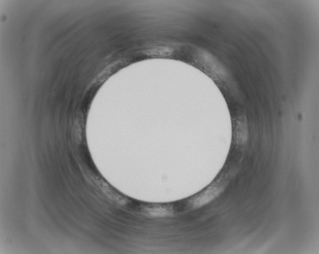 X0000081630370200701151431