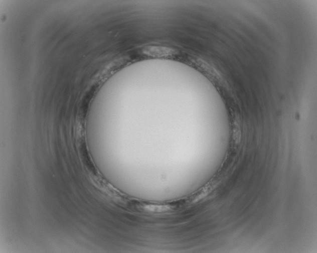 X0000081630371200701151431