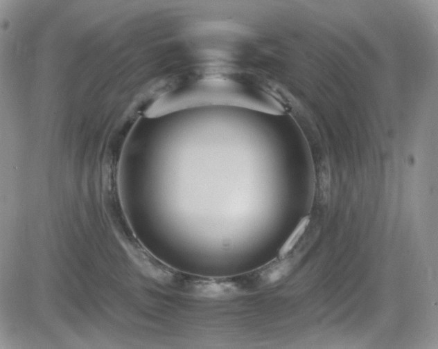 X0000081630379200701151431