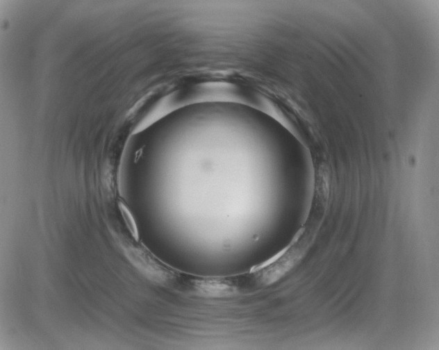 X0000081630380200701151431
