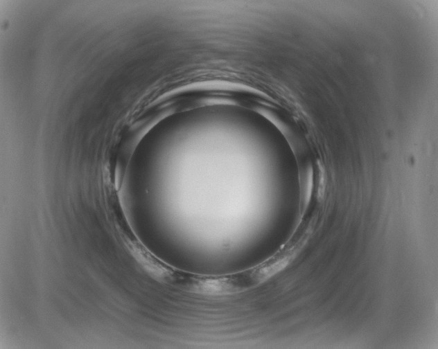 X0000081630382200701151431