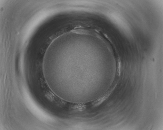 X0000081630383200701151431
