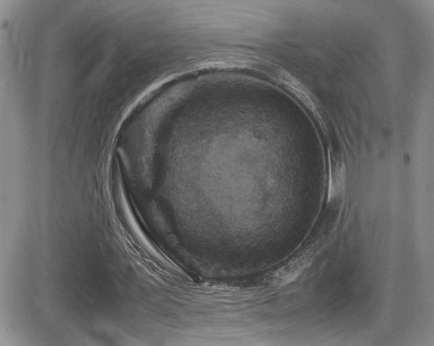 X0000081630387200701151430
