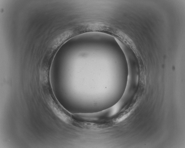X0000081630393200701151430