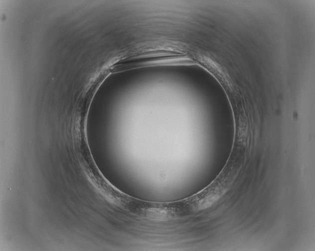 X0000081630394200701151430