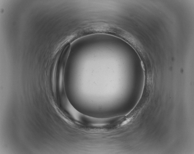 X0000081630397200701151430