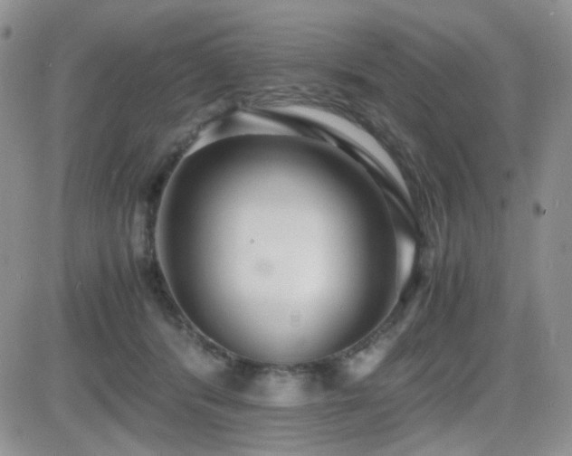 X0000081630416200701151430