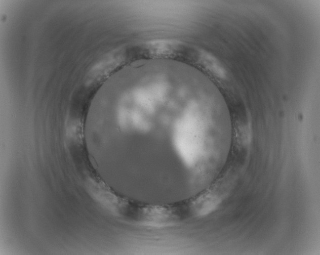 X0000081630419200701151430