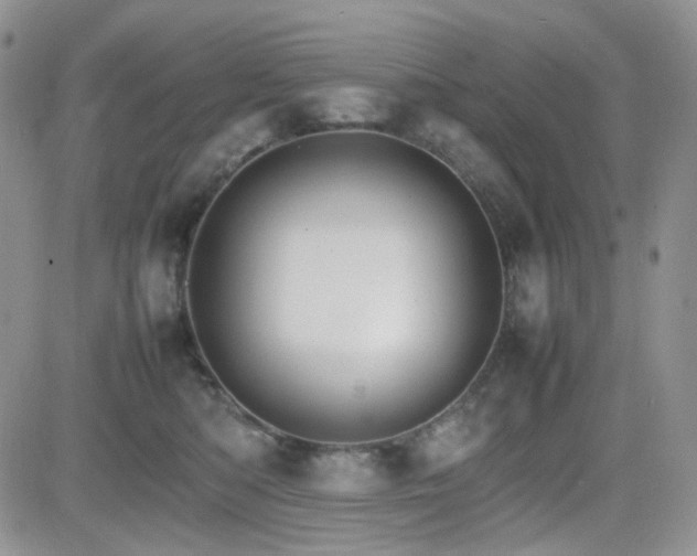 X0000081630422200701151430