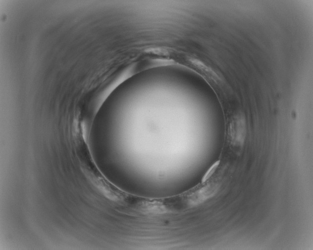 X0000081630424200701151430