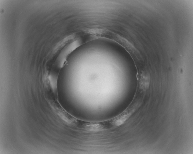 X0000081630428200701151430