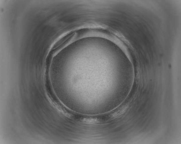X0000081630440200701151429