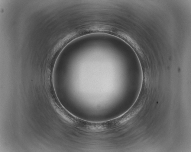 X0000081630445200701151429