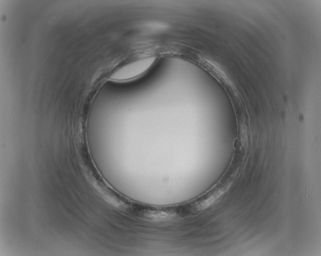 X0000081630453200701151429