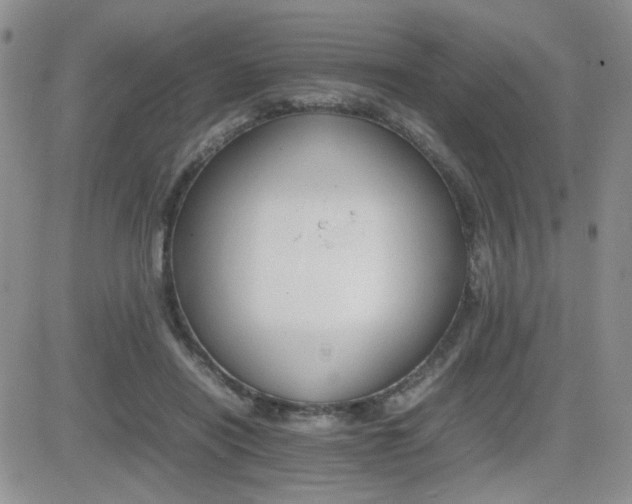 X0000081630454200701151429