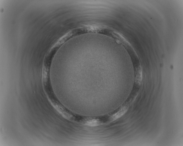 X0000081630456200701151429