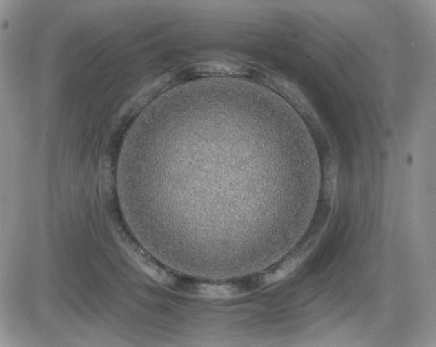 X0000081630457200701151429