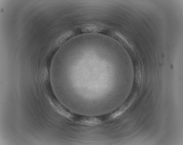 X0000081630459200701151429