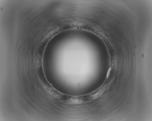 X0000081630464200701151429