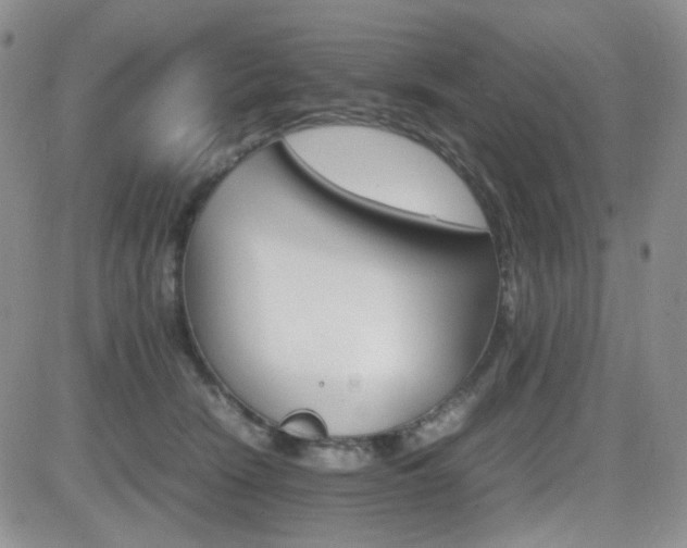 X0000081630466200701151429