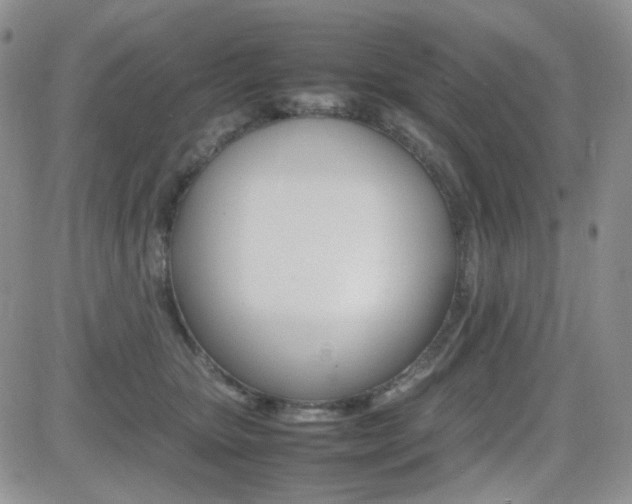 X0000081630467200701151429
