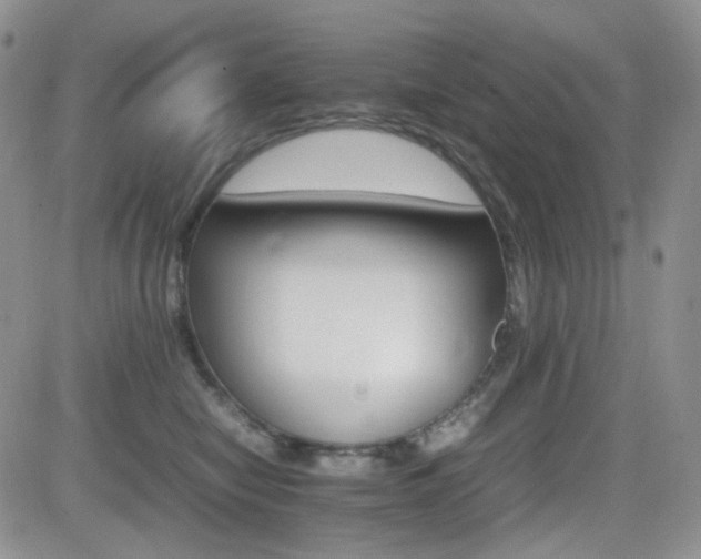 X0000081630470200701151429