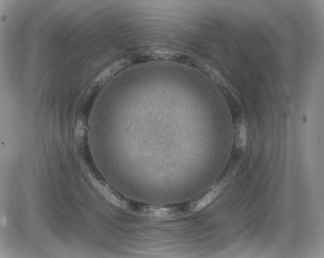 X0000081630472200701151429
