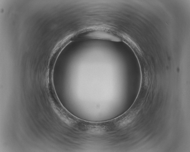 X0000081630486200701151429