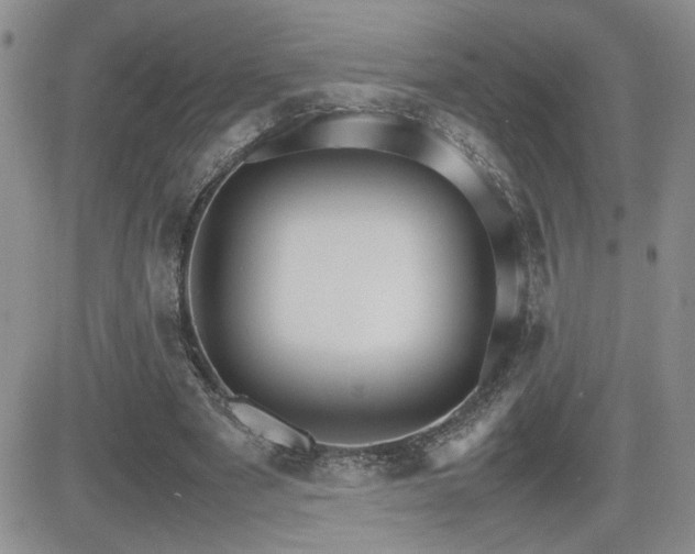X0000081630489200701151429