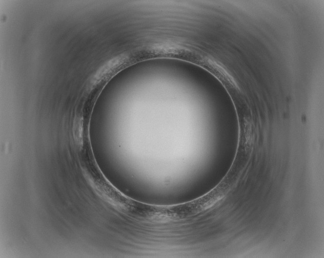 X0000081630494200701151429