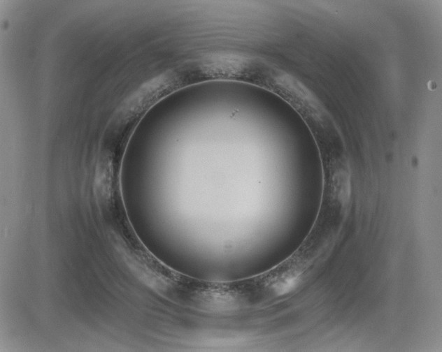 X0000081630498200701151428