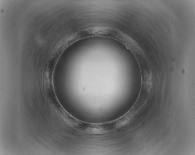 X0000081630506200701151428