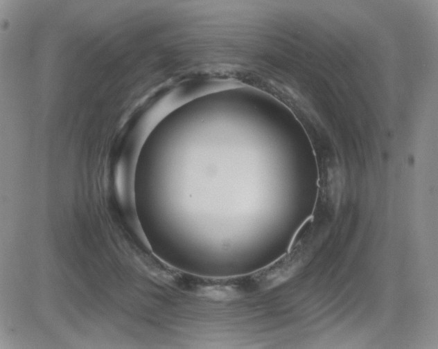 X0000081630508200701151428
