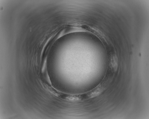 X0000081630512200701151428