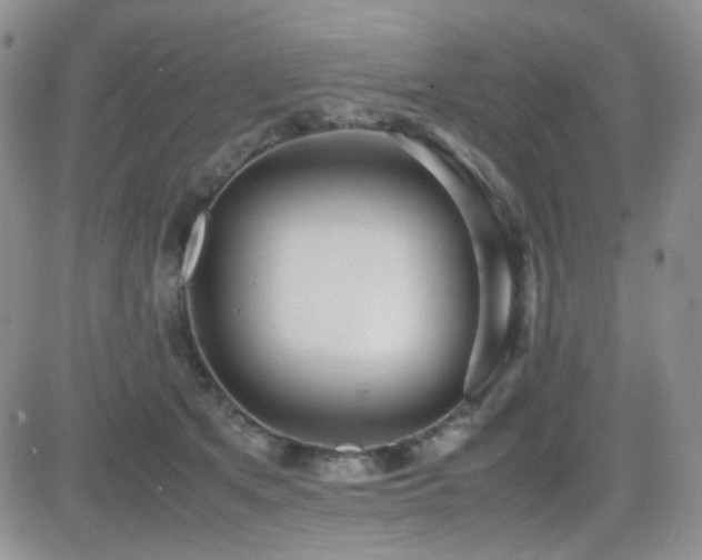 X0000081630513200701151428