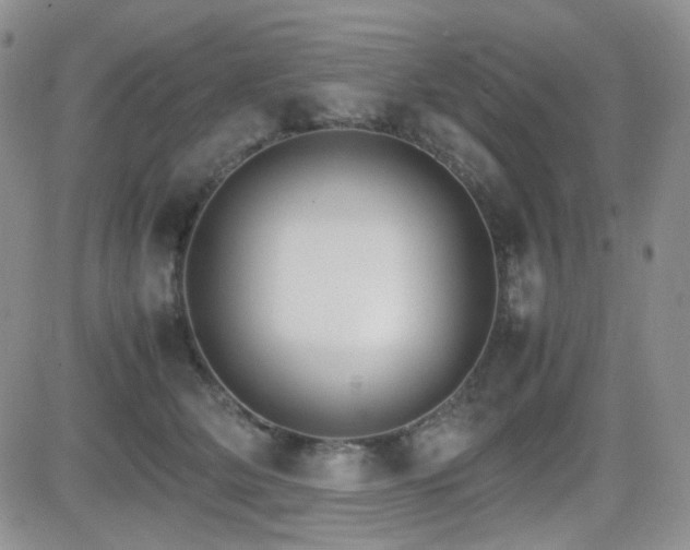 X0000081630514200701151428