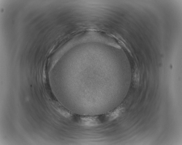 X0000081630516200701151428