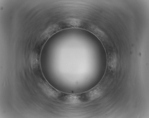 X0000081630518200701151428